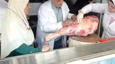 «بيطري الشرقية» يضبط طن لحوم وكبده ودواجن مجمدة غير صالحة للاستهلاك