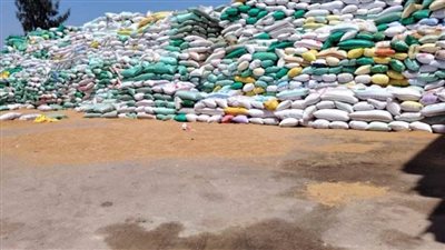 مراكز تجميع الأقماح بالشرقية تستقبل 605 آلاف طن بمختلف مراكز ومدن المحافظة