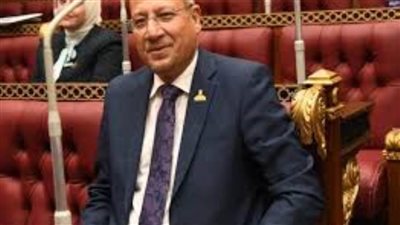 النائب عمرو عكاشة: الذكاء الاصطناعي مفتاح لتحقيق تطور هائل بمختلف القطاعات