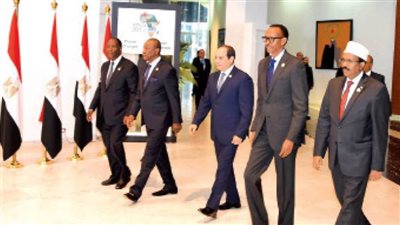 «الدائرة الإفريقية».. شراكة من أجل المستقبل