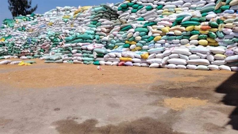 توريد القمح لمراكز