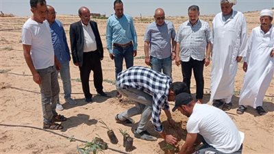 بحوث الصحراء ينظم قوافل إرشادية بشمال سيناء