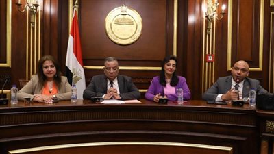 غادة شلبي تشارك في اجتماع بمجلس الشيوخ