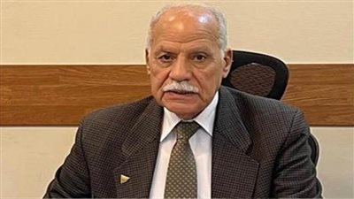 الحزب العربي الناصري: كلمة الرئيس السيسي بالمؤتمر الدولي للاستجابة الإنسانية انتصرت للحق