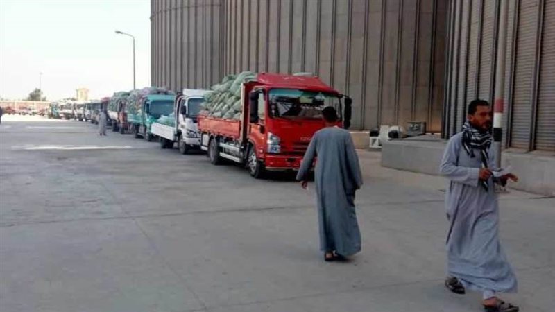 توريد محصول القمح