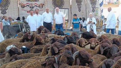  بالصور.. علاج 5124 طائرا وماشية في قوافل بيطرية ضمن 