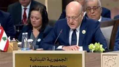رئيس وزراء لبنان: نرحب بقرار مجلس الأمن ضمن جهود تحقيق السلام للشعب الفلسطيني