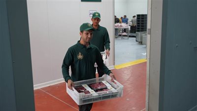 بيت الزكاة: 250 ألف أسرة مستحقة تستفيد من مبادرة «فطارك معانا يوم عرفة»