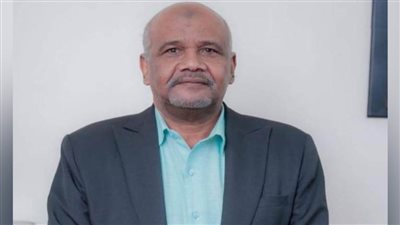 محمد الفاتح يكتب : السودانيون في مصر بخير