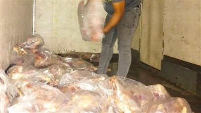 قبل طرحها بالأسواق.. ضبط 34 ذبيحة تزن 362 كيلو غير صالحة للاستهلاك الآدمى..صور 