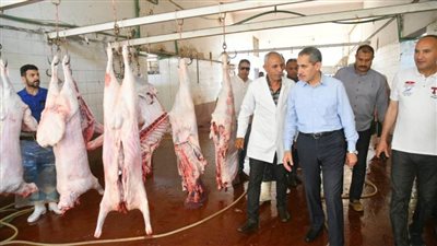 بالصور.. محافظ الغربية يتفقد المشروعات واستعدادات المجازر وتجهيز الحدائق لعيد الأضحى بالمحلة