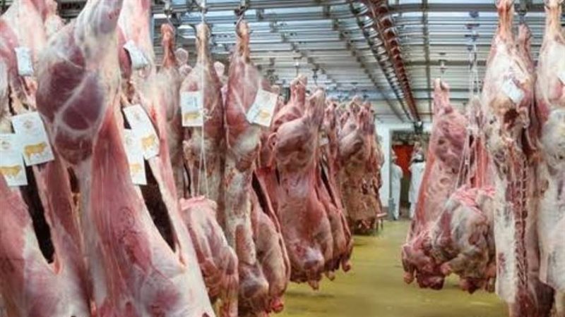 مجازر ارشيفية