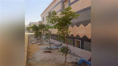 جهود وزارة البيئة في مجال التشجير وتنفيذ المبادرة الرئاسية 