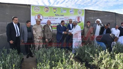 محافظ مطروح  : توزيع وزراعة ٦٥ ألف شجرة ضمن مبادرة ١٠٠ مليون شجرة