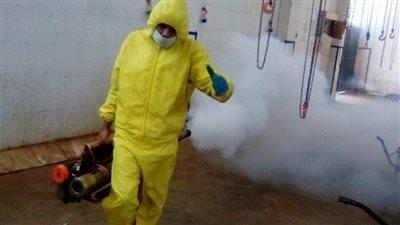 المنيا تعلن جاهزية 38 مجزرا لذبح الأضاحي بالمجان خلال عيد الأضحى المبارك