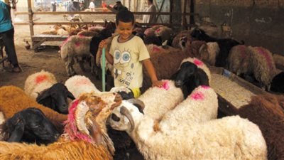 تراجعً الأسعار بالأسواق الرئيسية