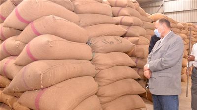 محافظ أسيوط: استمرار أعمال توريد القمح واستقبال 187 ألف طن بالشون والصوامع