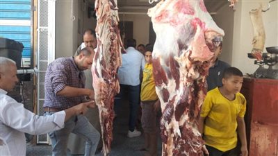 حملات على محلات الجزارة وإزالة التعديات ومتابعة الوحدات الخدمية ببني سويف