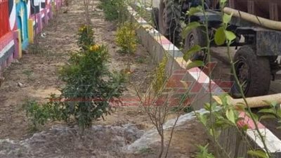 كفر الشيخ تبدأ في تنفيذ المبادرة الرئاسية 