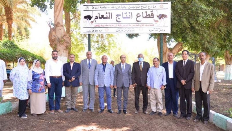 رئيس جامعة أسيوط