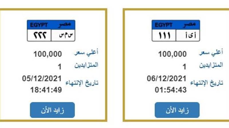 صورة أرشيفية روزا