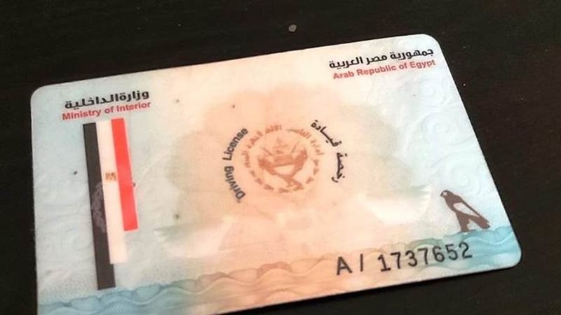 صورة أرشيفية روزا