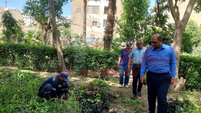 جولة المحاسب جمال