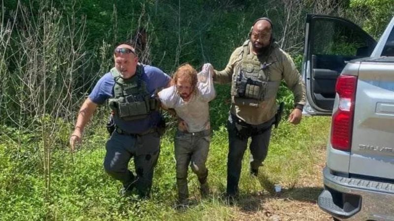 القبض على الجاني