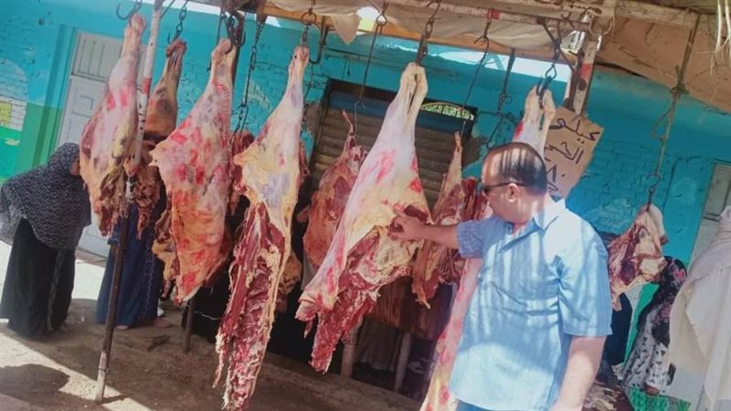 حملات تموينية متنوعة