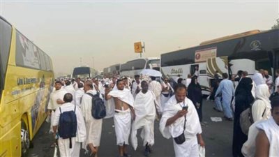بعثة الحج السياحي: نجاح التصعيد لمشعر عرفات وخطة محكمة للنفرة إلى المزدلفة