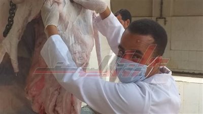 مغنم يكشف لـ «بوابة روزاليوسف» رحلة لحوم الأضاحي داخل المجازر