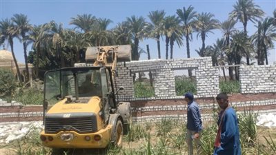 محافظ أسيوط: إزالة 7 حالات تعد على أراض زراعية وبناء مخالف