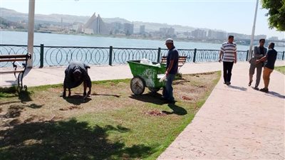 حملات مكثفة ومستمرة لإزالة المخلفات الصلبة بشوارع وقرى المنيا