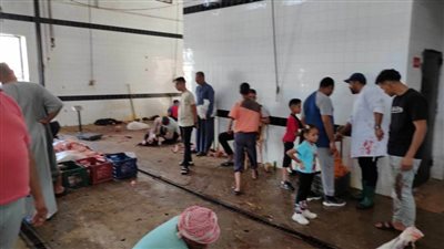 مجازر الوادي الجديد تستقبل 200 أضحية في أول ساعات العيد