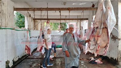 استعدادات مكثفة بمجازر كفر الشيخ لذبح الأضاحى للمواطنين بالمجان