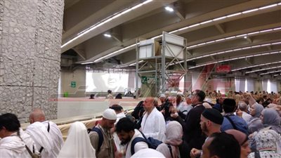 بعثة حج الجمعيات الأهلية تجهز خطة تفويج الحجاج إلى المدينة المنورة لمن بدأ رحلته من مكة المكرمة