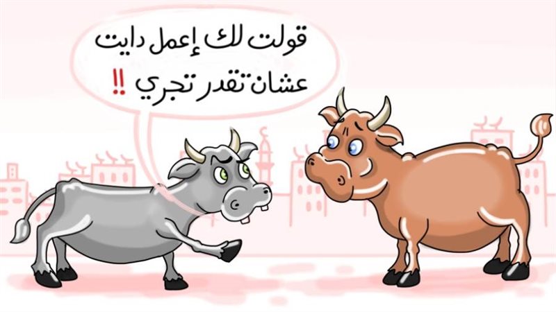 ريشة أماني هاشم