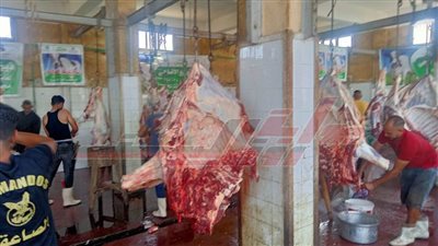 ذبح 360 أضحية بمجازر كفر الشيخ بالمجان في ثالث أيام عيد الأضحى