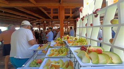 مهرجان الفواكه بشواطئ الغردقة احتفالا بعيد الأضحى |صور