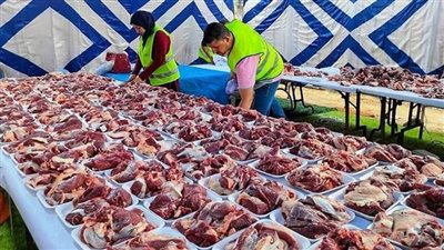 انطلاق توزيع لحوم أضاحي الأوقاف غدًا الخميس
