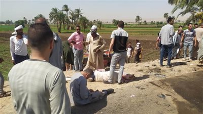 مصرع وإصابة 6 أشخاص في تصادم سيارتين بأسيوط 