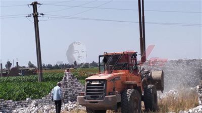 إزالة التعديات الزراعية ومخالفات البناء بكفر الشيخ 