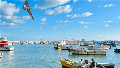 الإدارة المركزية للسياحة والمصايف بالإسكندرية تعلن حالة البحر مستقرة في بعض الشواطئ 