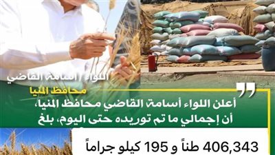 محافظ المنيا: توريد 406 آلاف طن من القمح بالشون والصوامع منذ بدء الموسم