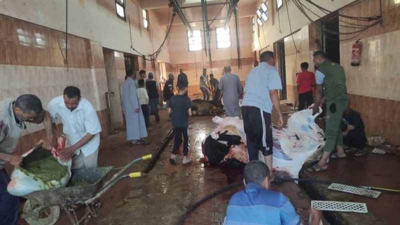 مجازر الوادي الجديد