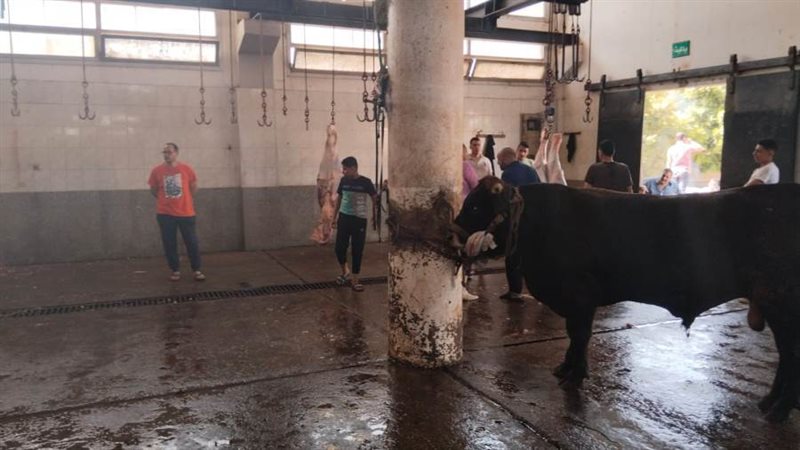 استمرار فتح مجازر