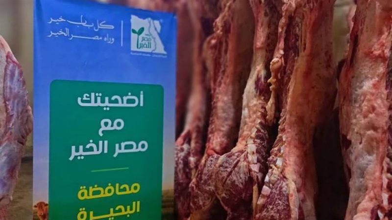 مؤسسة مصر الخير تساهم