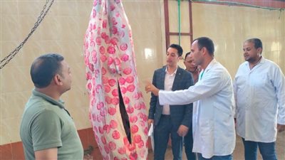 بيطرى البحيرة: ذبح 2756 رأس ماشية و115670 من الدواجن بمجازرالبحيرة