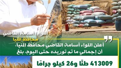 توريد 413 ألف طن قمح بالشون والصوامع بالمنيا