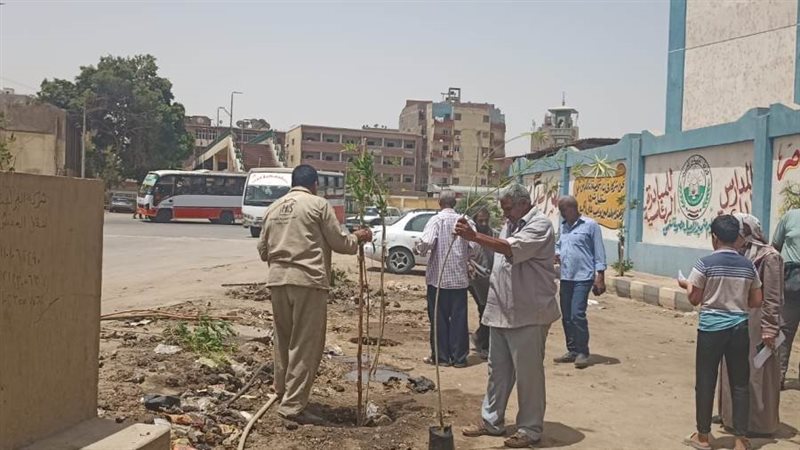 جانب من التشجير